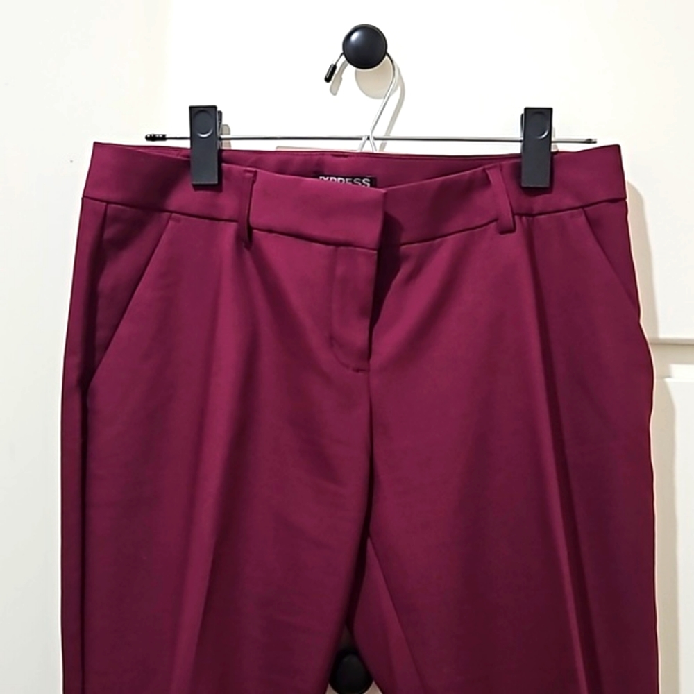 Express Columnist Ankle Pant